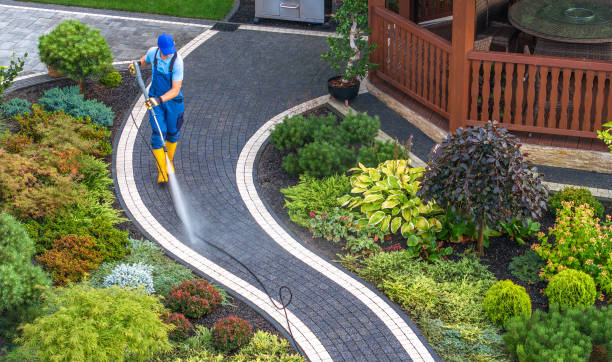 Best Best Pressure Washing Companies  in Gustine, CA